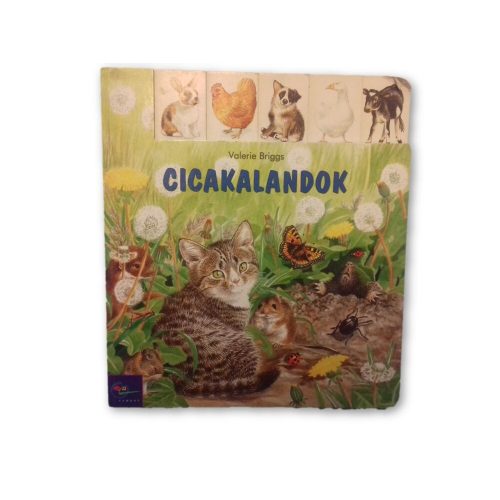 Cicakalandok - keménylapos mesekönyv
