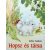 Felix Salten: Hopsz és társa