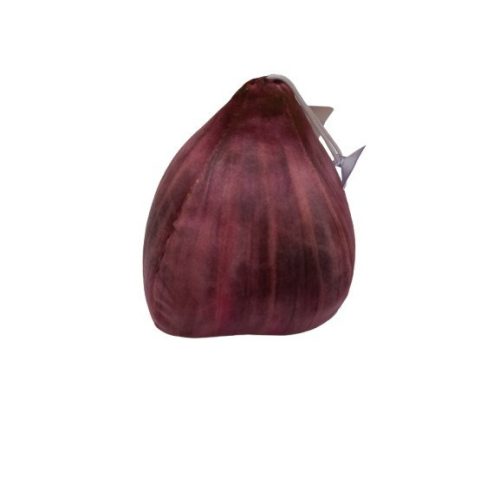 Élethű zöldség plüss játék, lilahagyma - ÚJ